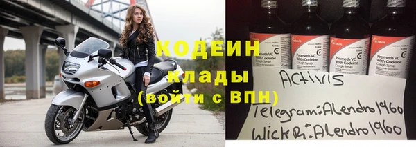 гашик Богданович