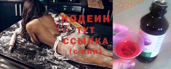 гашик Богданович